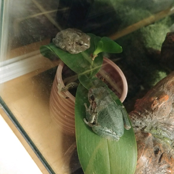 Meet your Posher, Paulina - Picture 1 of 1